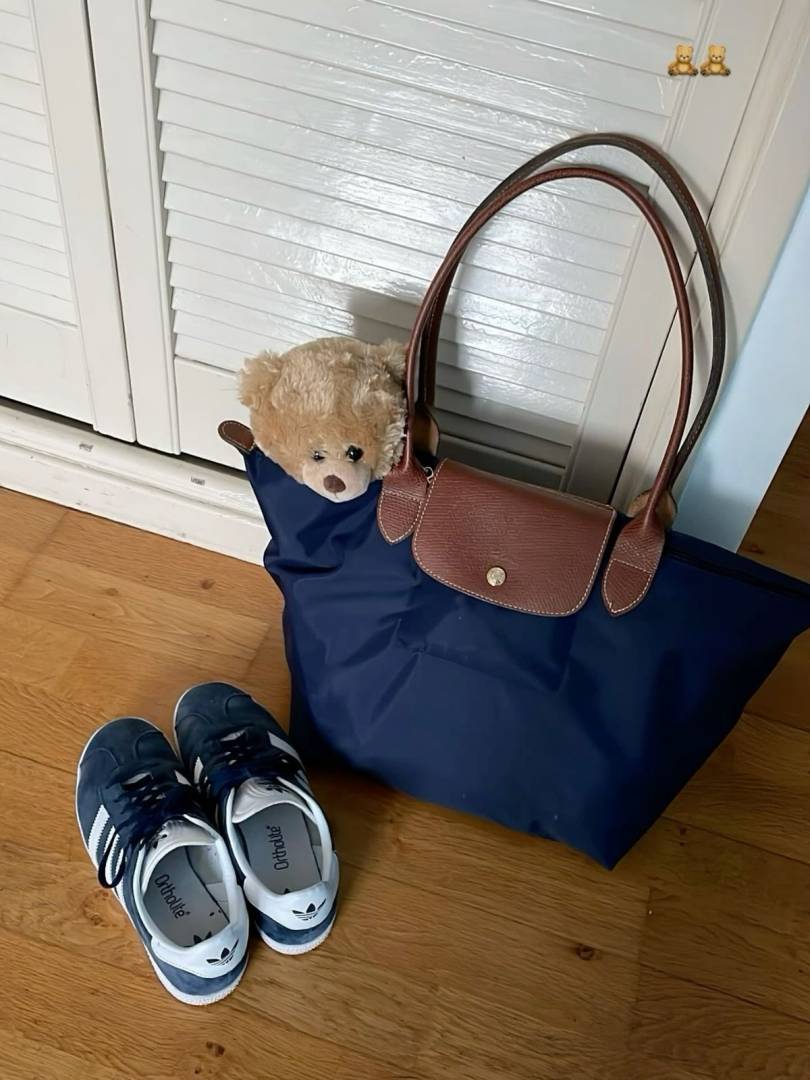 Longchomp Navy Blue Le Pliage Size M Tote bag